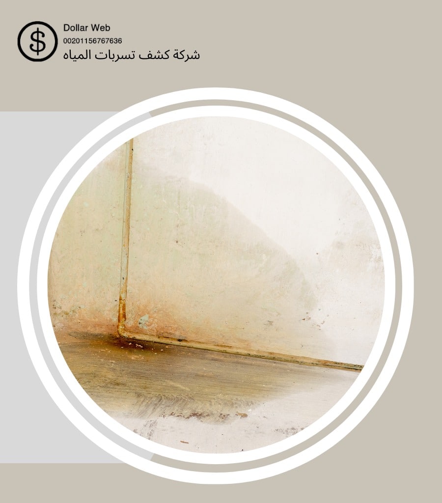 كشف تسربات العتيبيه مكة