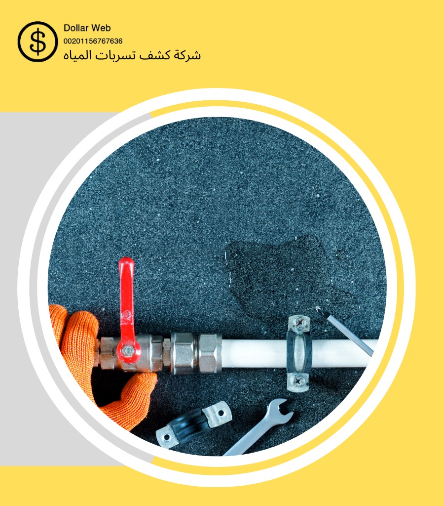 شركة كشف تسريبات بمكة