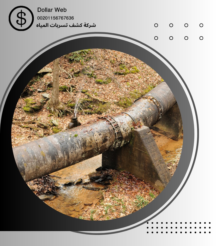 كشف تسربات العتيبيه