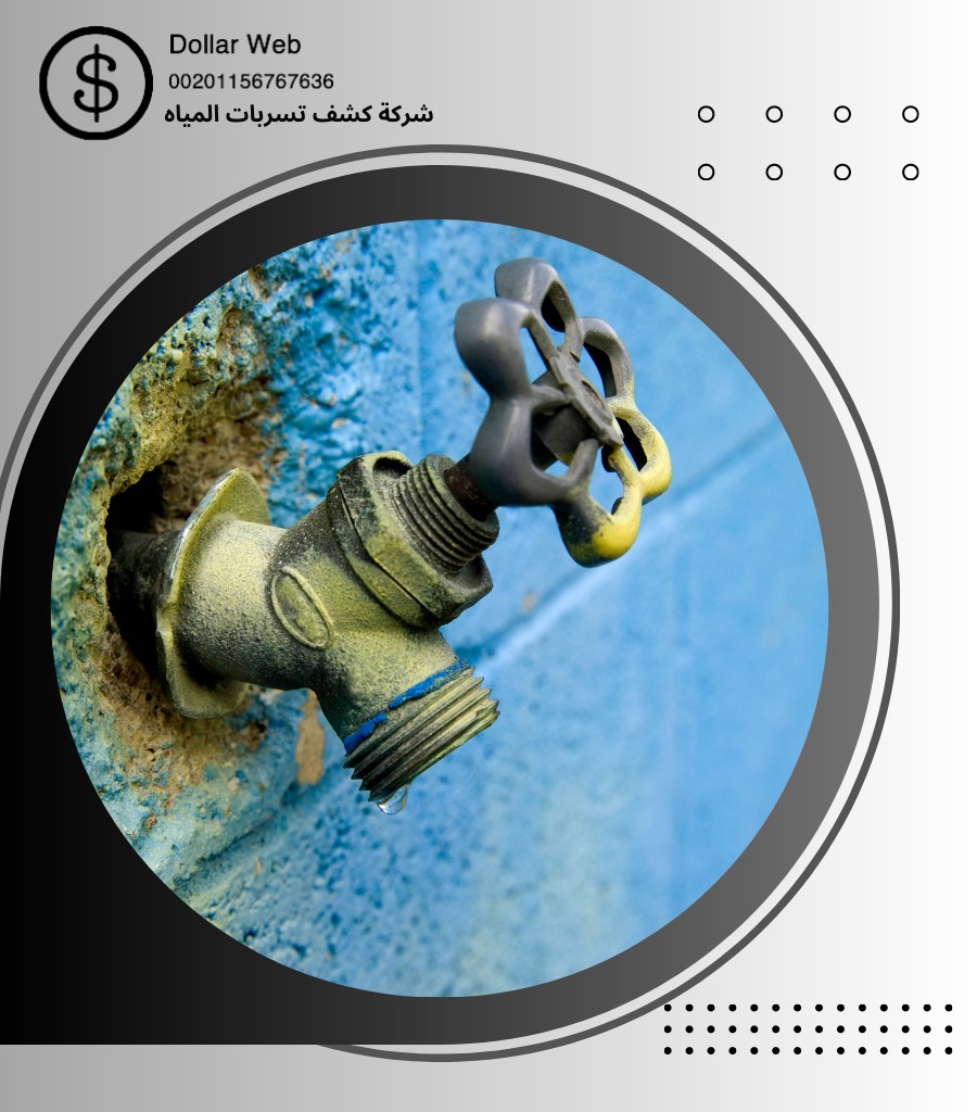 كشف تسربات الخالدية