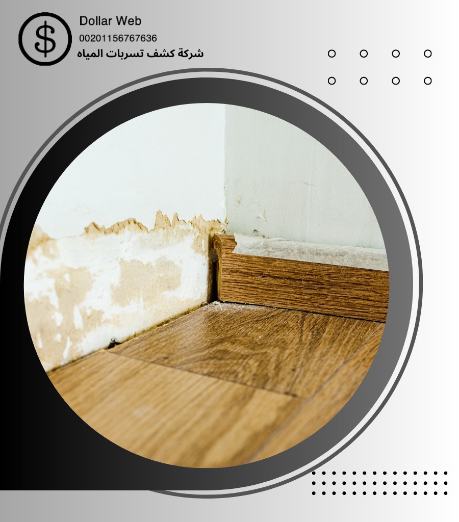 كشف تسربات العزيزية