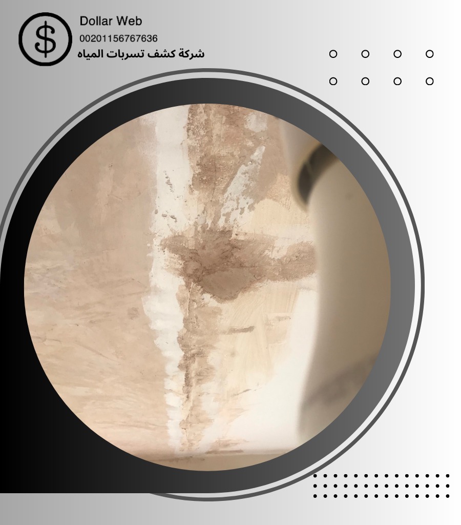 كشف تسربات بطحاء