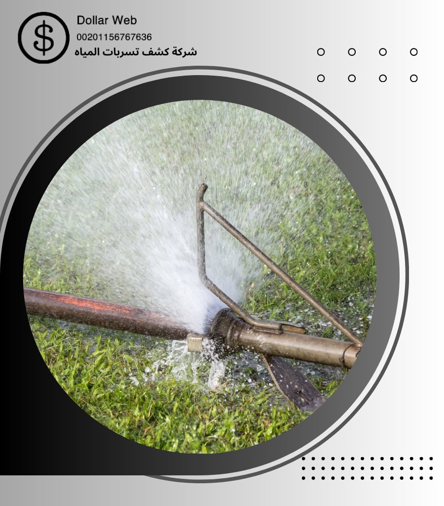 كشف تسربات الشوقية