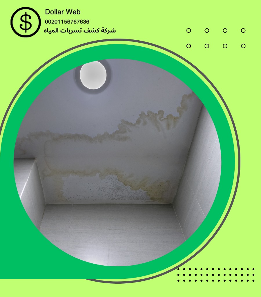 كشف تسربات حي الزاهر