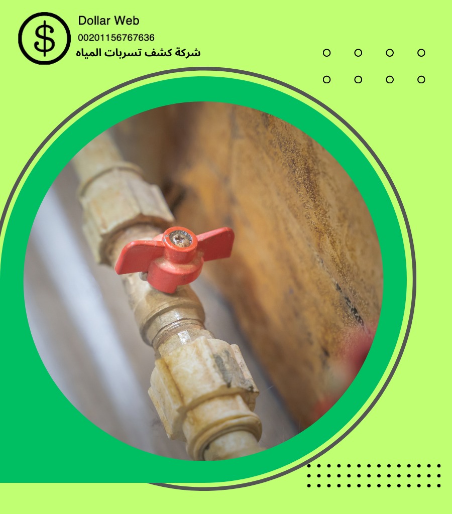 كشف تسربات حي الخالدية