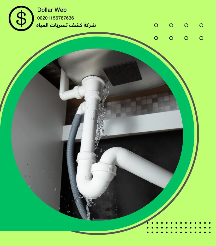 شركة كشف تسربات بمكه