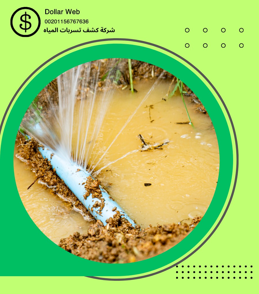 فني كشف تسربات بمكة