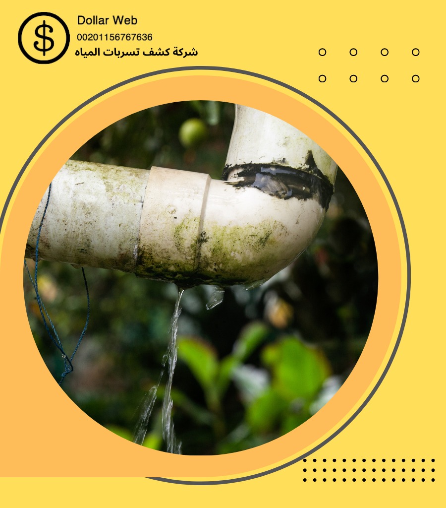 شركة كشف تسربات بالزاهر