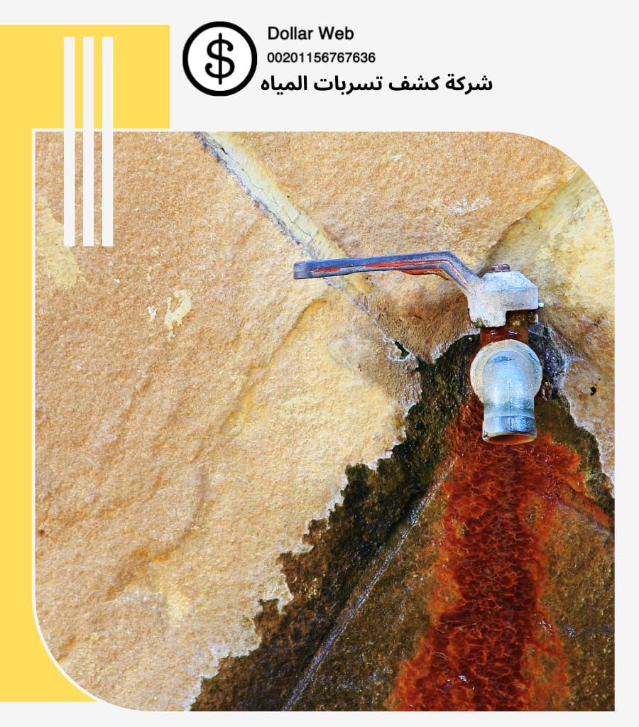 فني كشف تسربات مكة