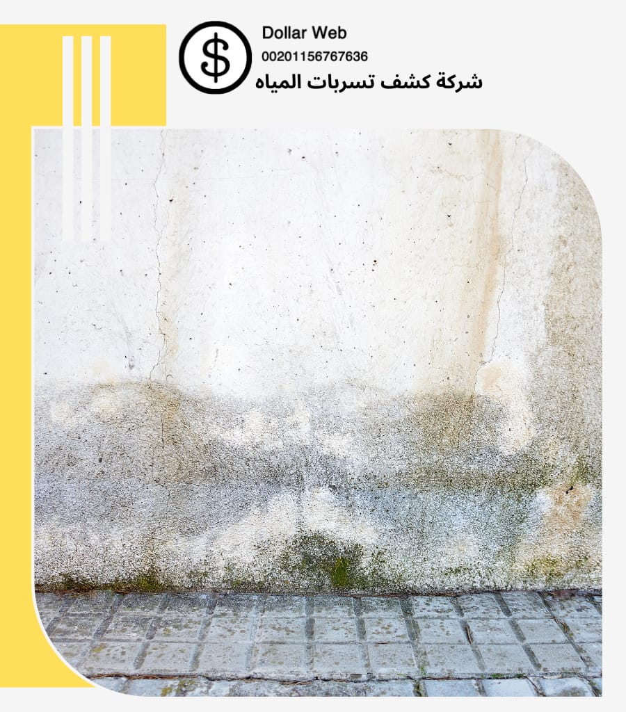أجهزة كشف تسربات مكة